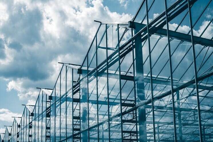 High-tech greenhouses is future High-tech greenhouses is future