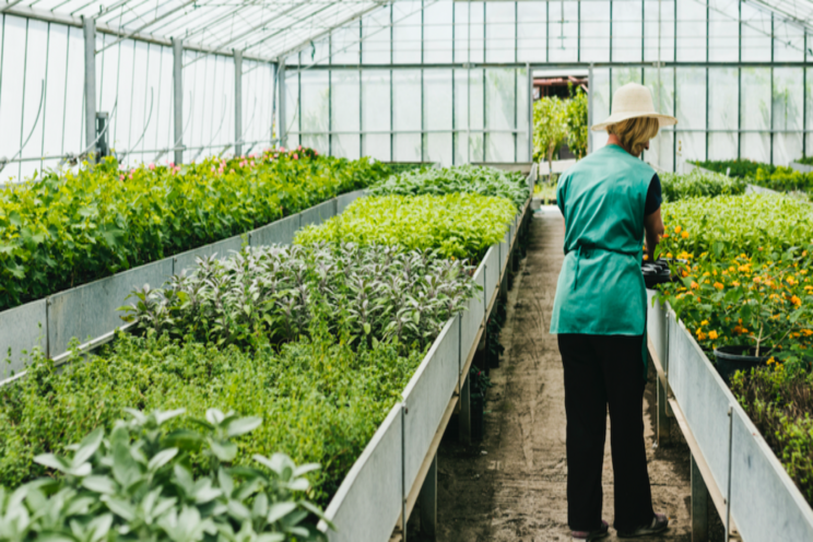5 tips for temperature control in your growing environment 5 tips for temperature control in your growing environment