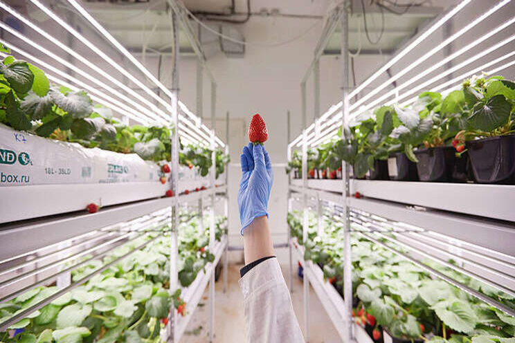 $4M to help vertical farms grow more $4M to help vertical farms grow more