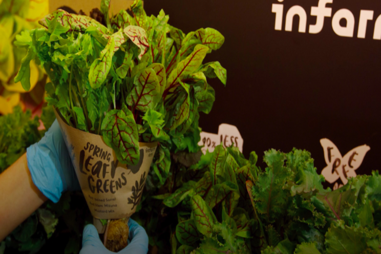 Selfridges to grow fresh produce with vertical farming units Selfridges to grow fresh produce with vertical farming units
