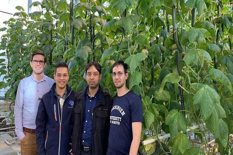 Experts dish on the future of autonomous greenhouses Experts dish on the future of autonomous greenhouses