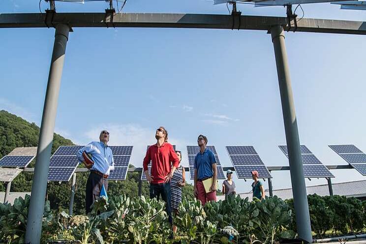 UAE, Israel both expect to benefit from agricultural ties UAE, Israel both expect to benefit from agricultural ties