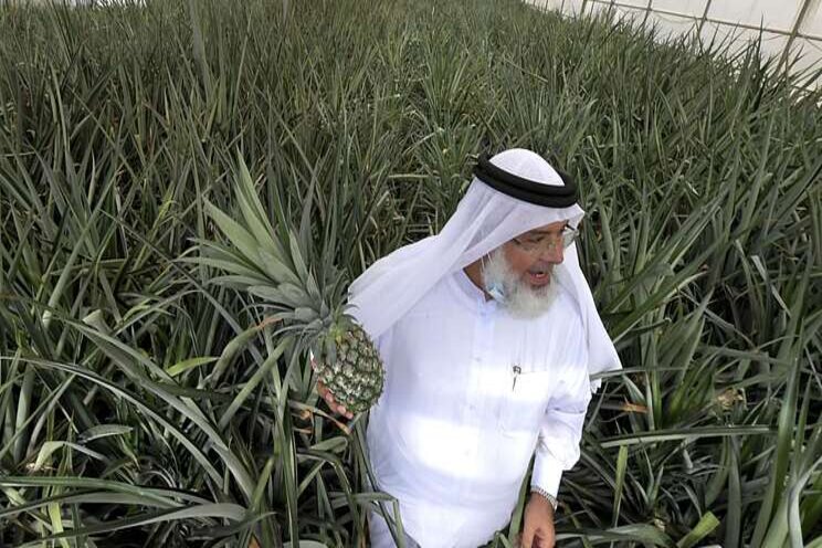 'Green revolution' in Dubai desert 'Green revolution' in Dubai desert