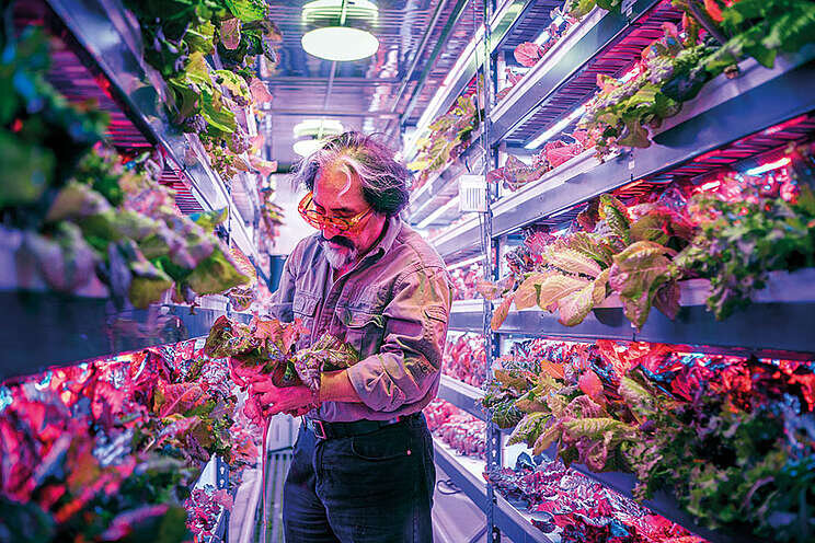 Skyscraper farming: Less water, more food Skyscraper farming: Less water, more food