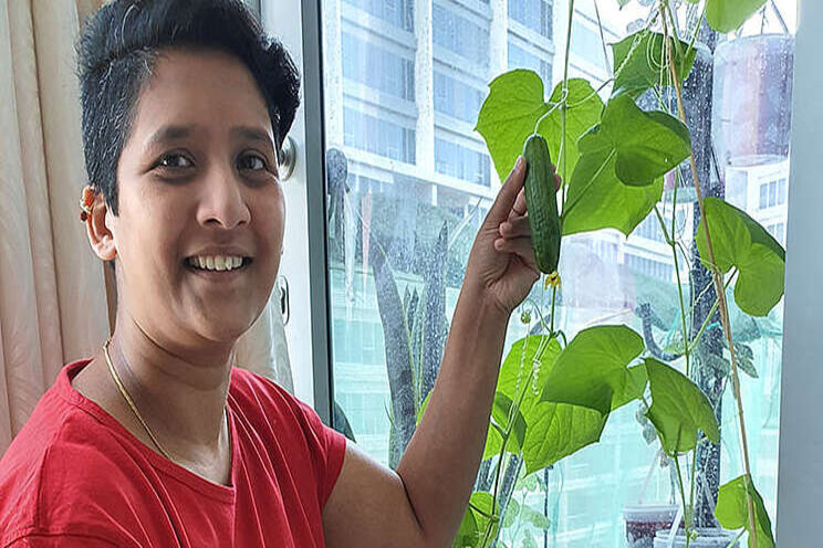 What is hydroponic farming? What is hydroponic farming?