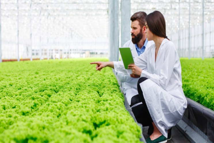 Greenhouse energy-efficiency tips Greenhouse energy-efficiency tips