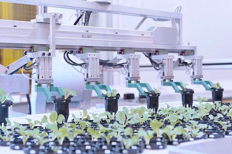 High-rise farming to arrive High-rise farming to arrive