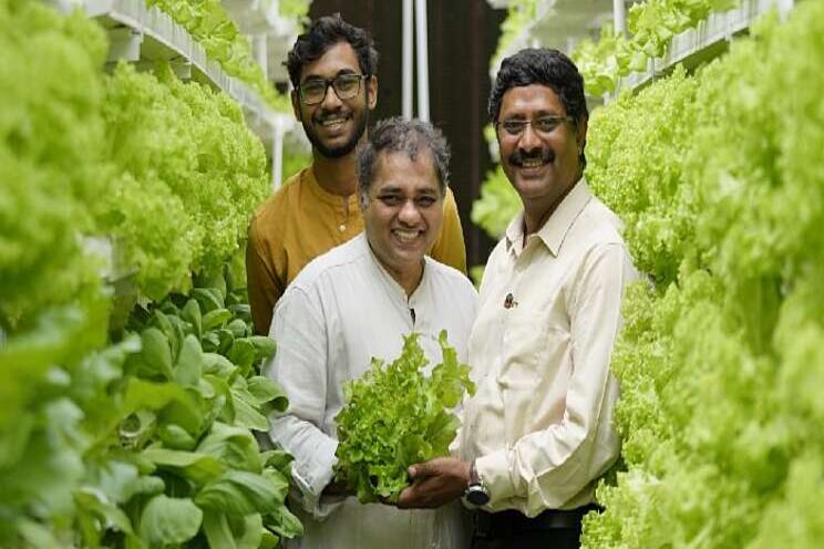 Vertical farming company in India Vertical farming company in India