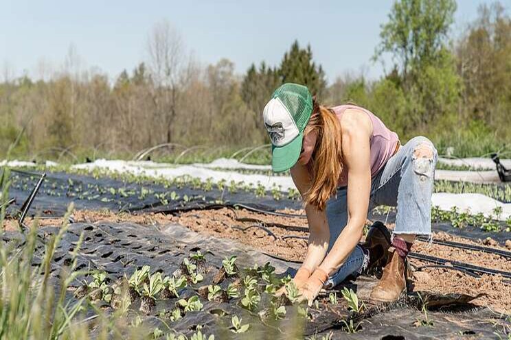 Redirecting agri subsidies for a sustainable food future Redirecting agri subsidies for a sustainable food future