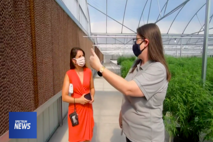 Hemp is the golden ticket for this family of farmers Hemp is the golden ticket for this family of farmers