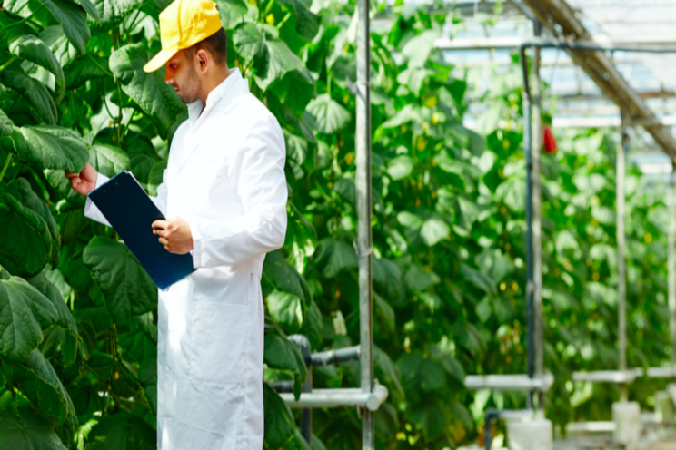 EU investment into US vegetable greenhouses EU investment into US vegetable greenhouses