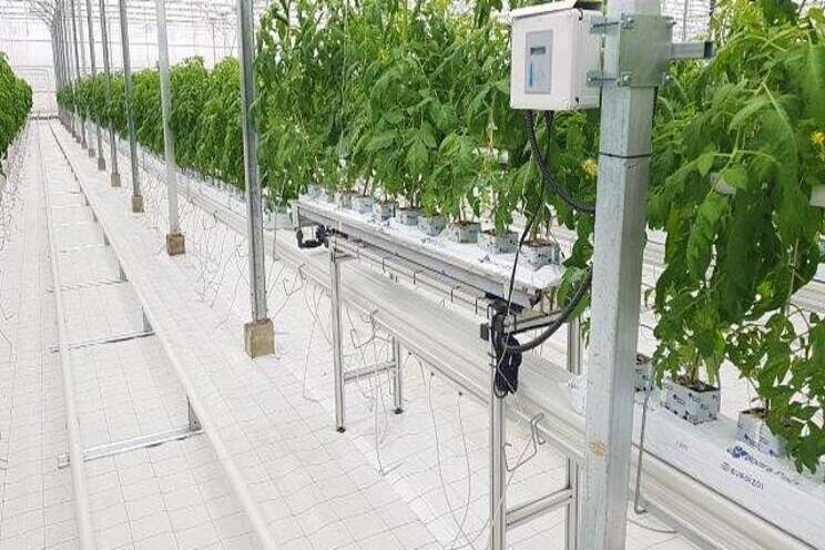 Greenhouse tech, the future is already here Greenhouse tech, the future is already here