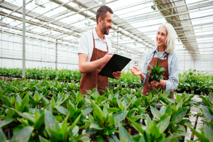 8 new plant production techniques you tried this year 8 new plant production techniques you tried this year