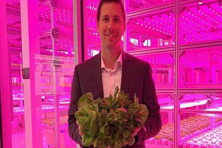 Tall lettuce farm to rise Tall lettuce farm to rise