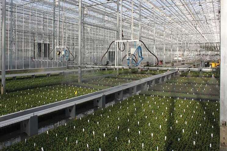 The state of the greenhouse industry: Cautious Optimism The state of the greenhouse industry: Cautious Optimism