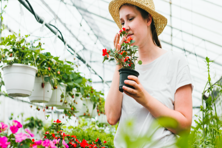 3 tips for holding spring crops 3 tips for holding spring crops