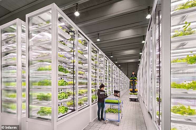 Farming goes vertical Farming goes vertical