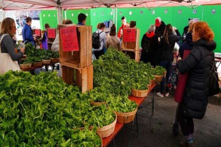 A nature-based food economy for all A nature-based food economy for all
