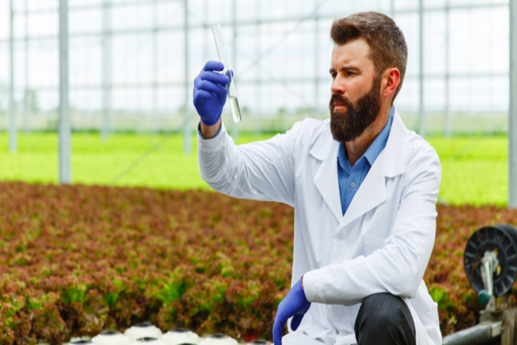 Exploring heat stress in crops Exploring heat stress in crops