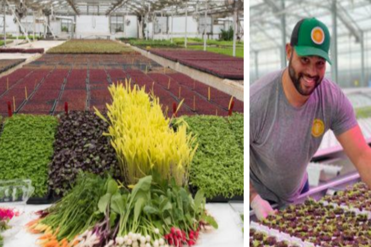 The demand for local & sustainable food The demand for local & sustainable food