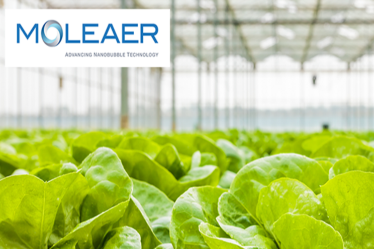 Q&A | How Moleaer deals with the coronavirus impact Q&A | How Moleaer deals with the coronavirus impact