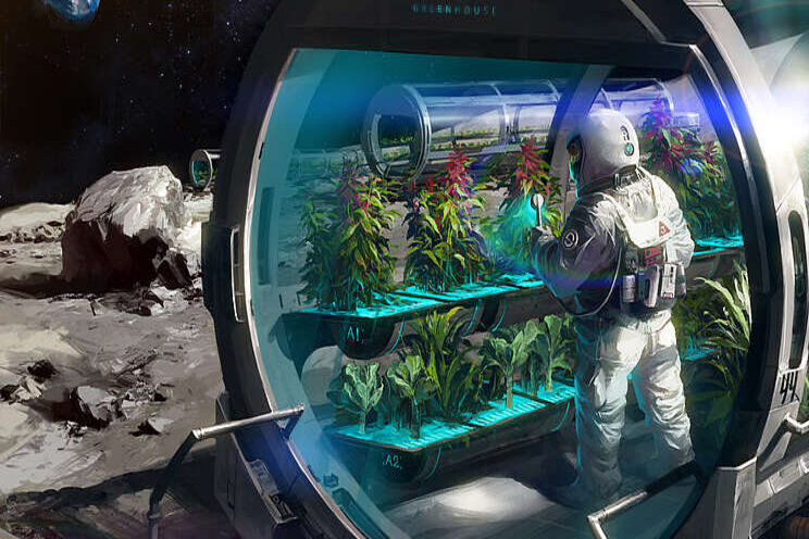 Radishes could probably grow in lunar soil Radishes could probably grow in lunar soil