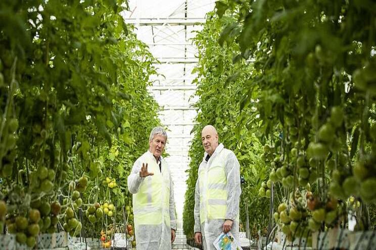 Horticulture aims to 'spearhead' post-Covid recovery Horticulture aims to 'spearhead' post-Covid recovery
