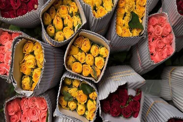 Demand for Kenya's flowers recovers to 85% Demand for Kenya's flowers recovers to 85%