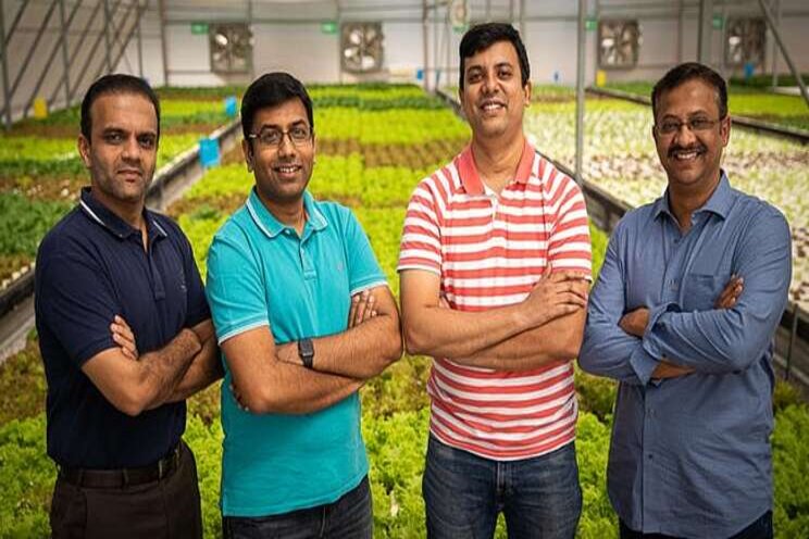 Greenhouse farms to deliver fresh produce Greenhouse farms to deliver fresh produce