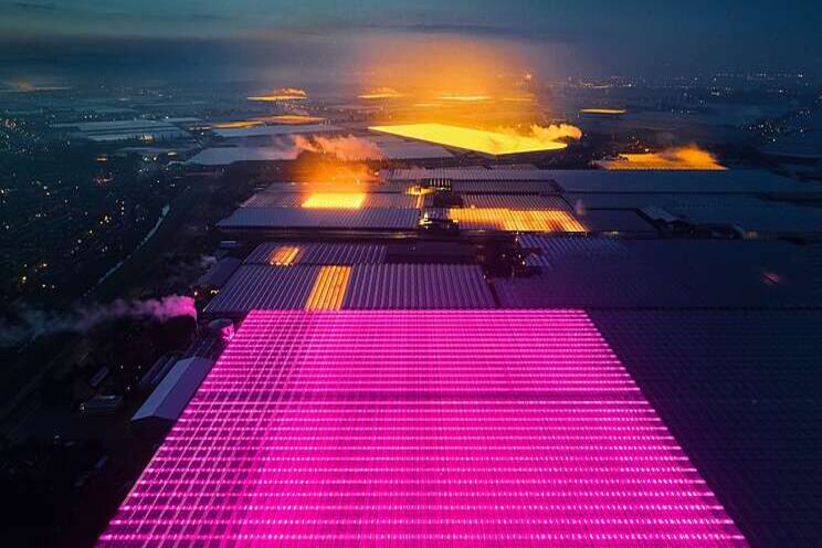 High-tech and colorful Dutch greenhouses High-tech and colorful Dutch greenhouses