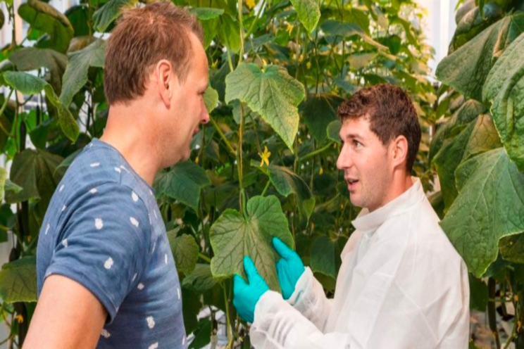 The exclusive partnership in the UK horti industry The exclusive partnership in the UK horti industry