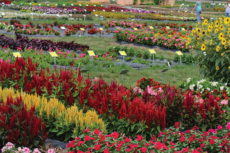 The latest updates on summer 2020 horticulture field days The latest updates on summer 2020 horticulture field days