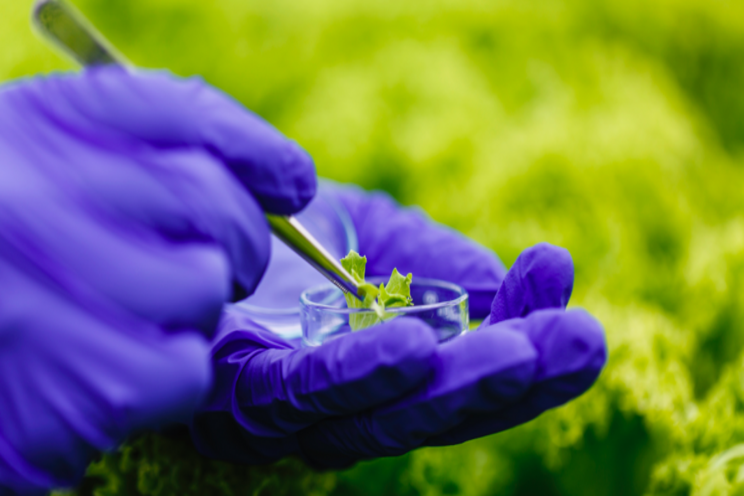 Crop biotechnology to provide higher farmer income Crop biotechnology to provide higher farmer income
