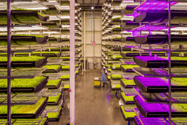 World's largest R&D indoor vertical farm World's largest R&D indoor vertical farm