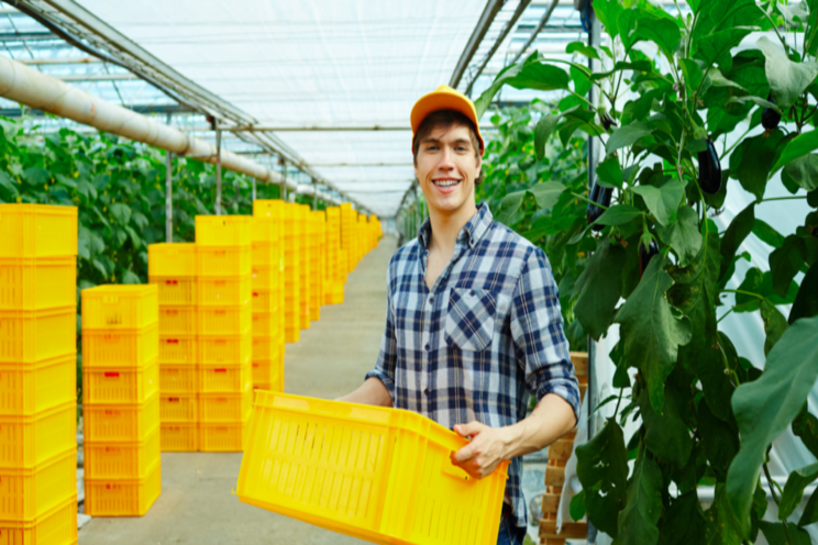 $4.2M rebate for province's 1st large-scale greenhouse $4.2M rebate for province's 1st large-scale greenhouse