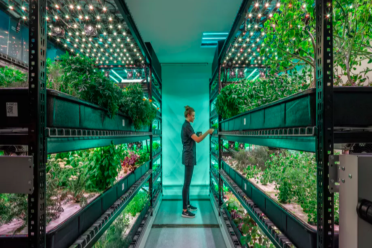 Scotland's first commercial vertical farm Scotland's first commercial vertical farm