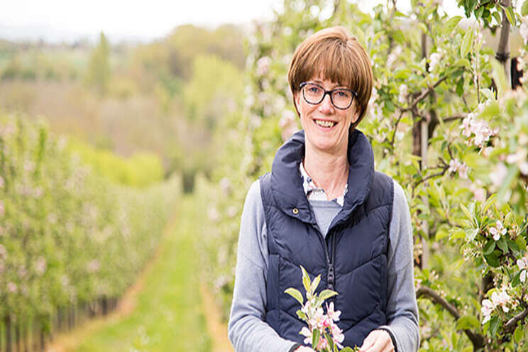 Covid-19 adds up to 15% on labour costs Covid-19 adds up to 15% on labour costs