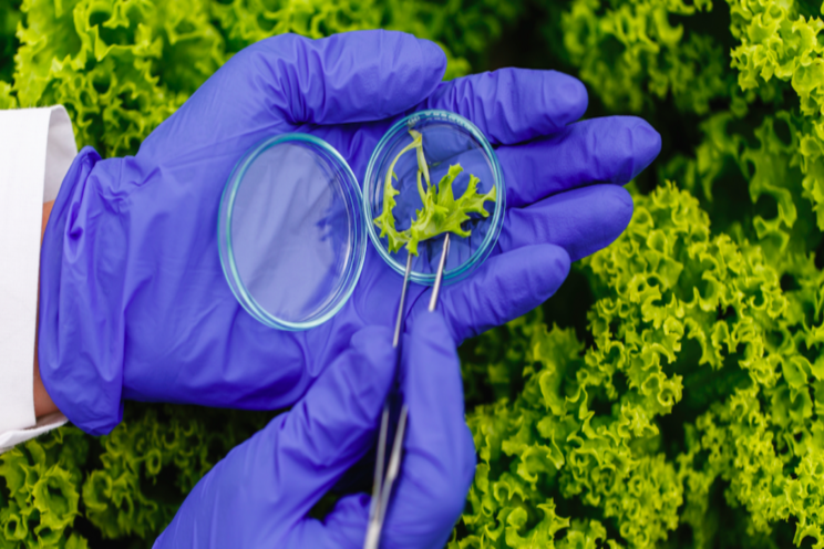 Agrochemicals is OUT, agri biotechnology is IN Agrochemicals is OUT, agri biotechnology is IN
