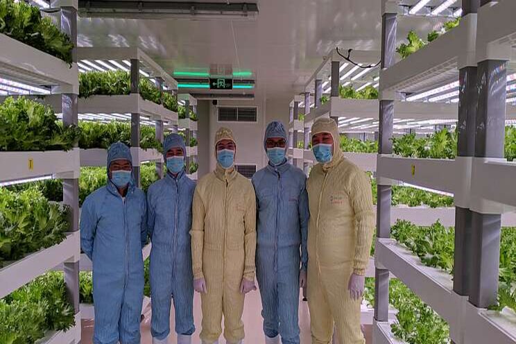 Future of indoor vertical farming with microgrids Future of indoor vertical farming with microgrids