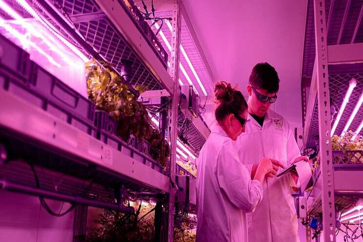 Why I still believe in Red/Blue LED Grow Lights Why I still believe in Red/Blue LED Grow Lights