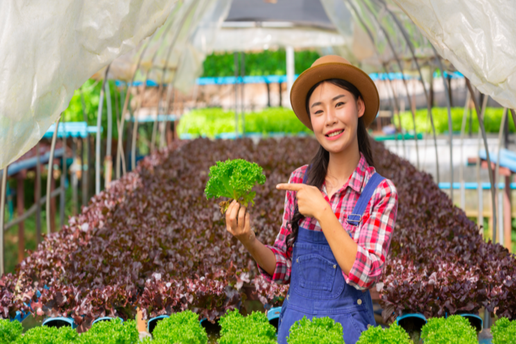 Systems analysis of food production Systems analysis of food production