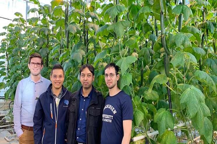 When will AI come to the commercial greenhouse industry? When will AI come to the commercial greenhouse industry?