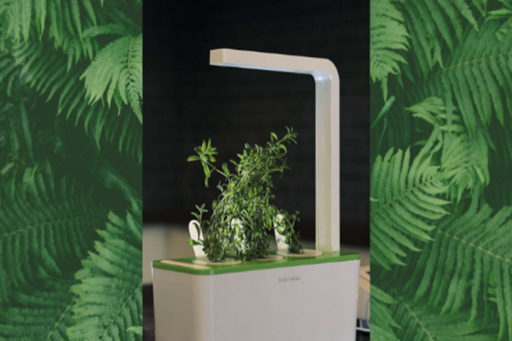 Smart garden in the kitchen Smart garden in the kitchen
