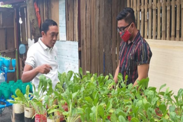 Urban farming gaining ground amid pandemic Urban farming gaining ground amid pandemic