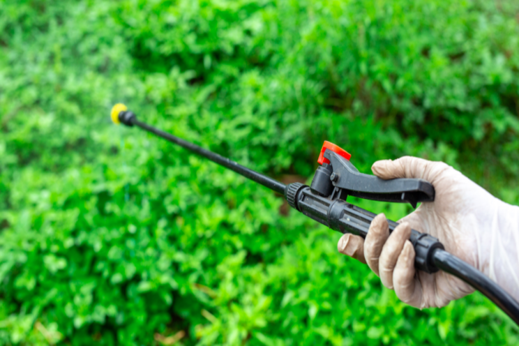 AgBiome announces new fungicide submission AgBiome announces new fungicide submission