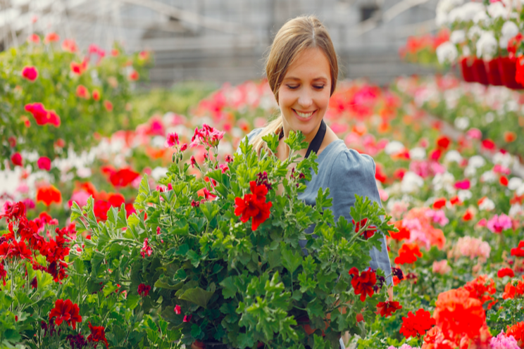 Take a look at America's first gardens Take a look at America's first gardens