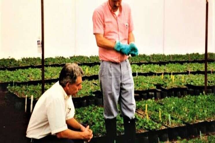 The horti legacy of Gary Falkenstein The horti legacy of Gary Falkenstein