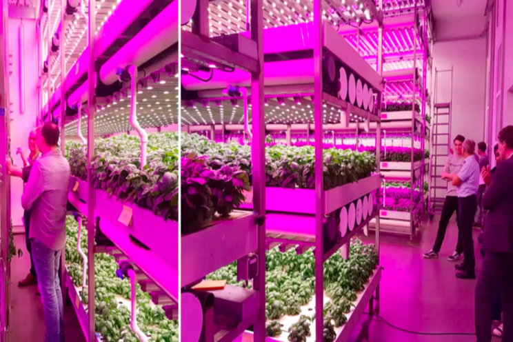 Topics of Vertical Farming Conference Topics of Vertical Farming Conference
