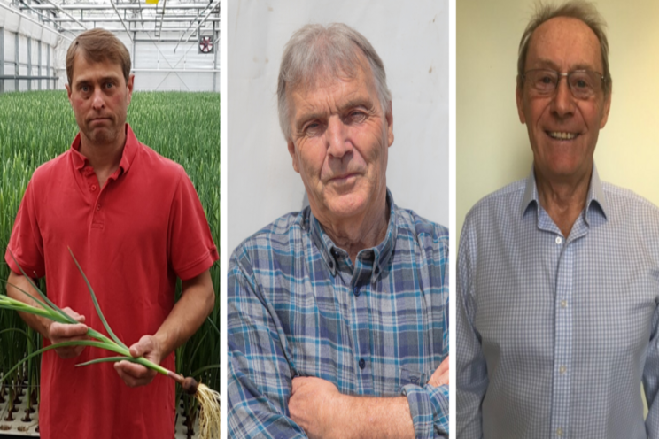 UK growers seek views on 'Outdated' compulsory levy body UK growers seek views on 'Outdated' compulsory levy body