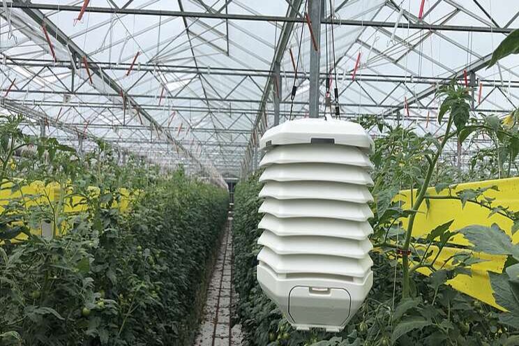 Autogrow launches wireless smart sensor network Autogrow launches wireless smart sensor network
